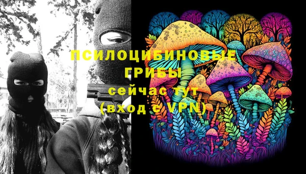 PSILOCYBIN Балахна